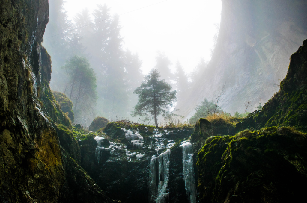 Composition Balancing Photography