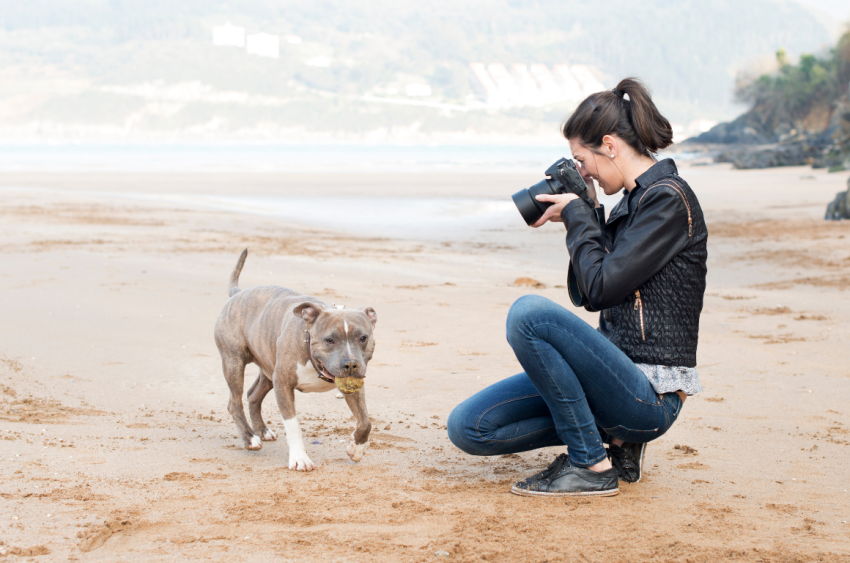 Best Camera for Pet Photography