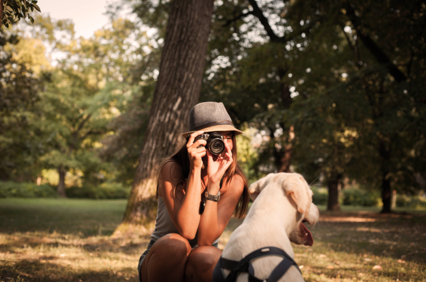 How to Become a Pet Photographer