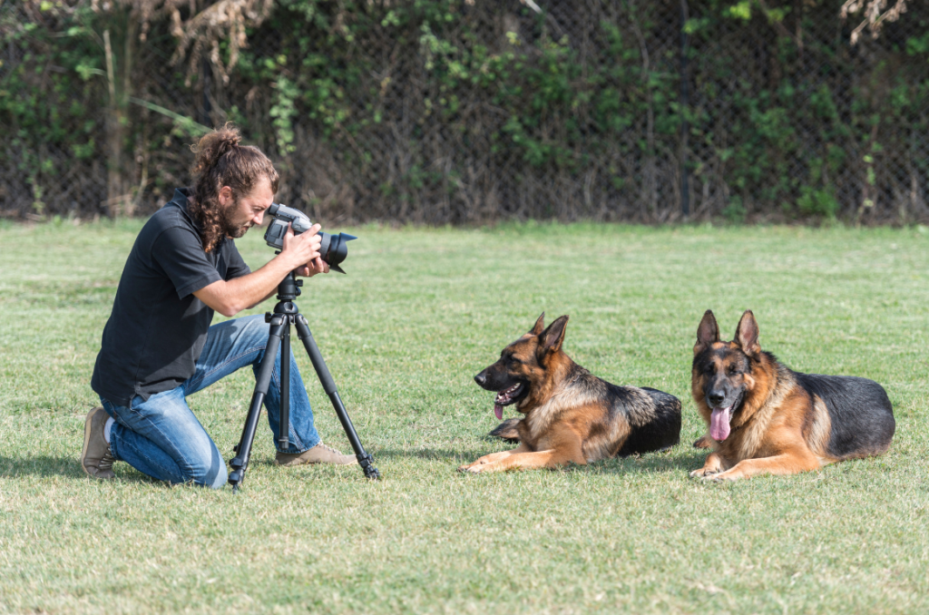 Pet Photography Equipment Cameras and Gear