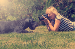 What Does a Pet Photographer Do